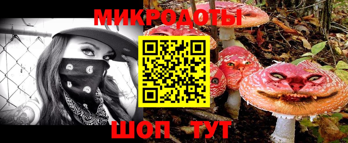 Реж  Псилоцибиновые грибы Psilocybe  Вход с VPN 