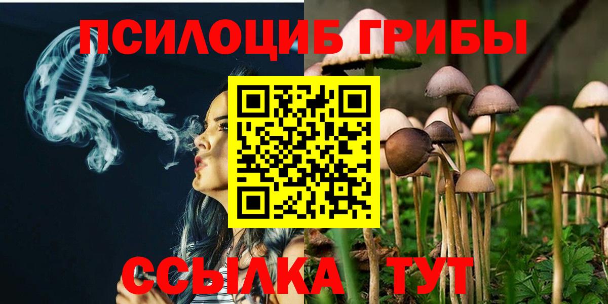 Галлюциногенные грибы Cubensis Реж